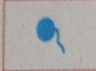 C:\Users\Оксана\Downloads\1733941187263.jpg